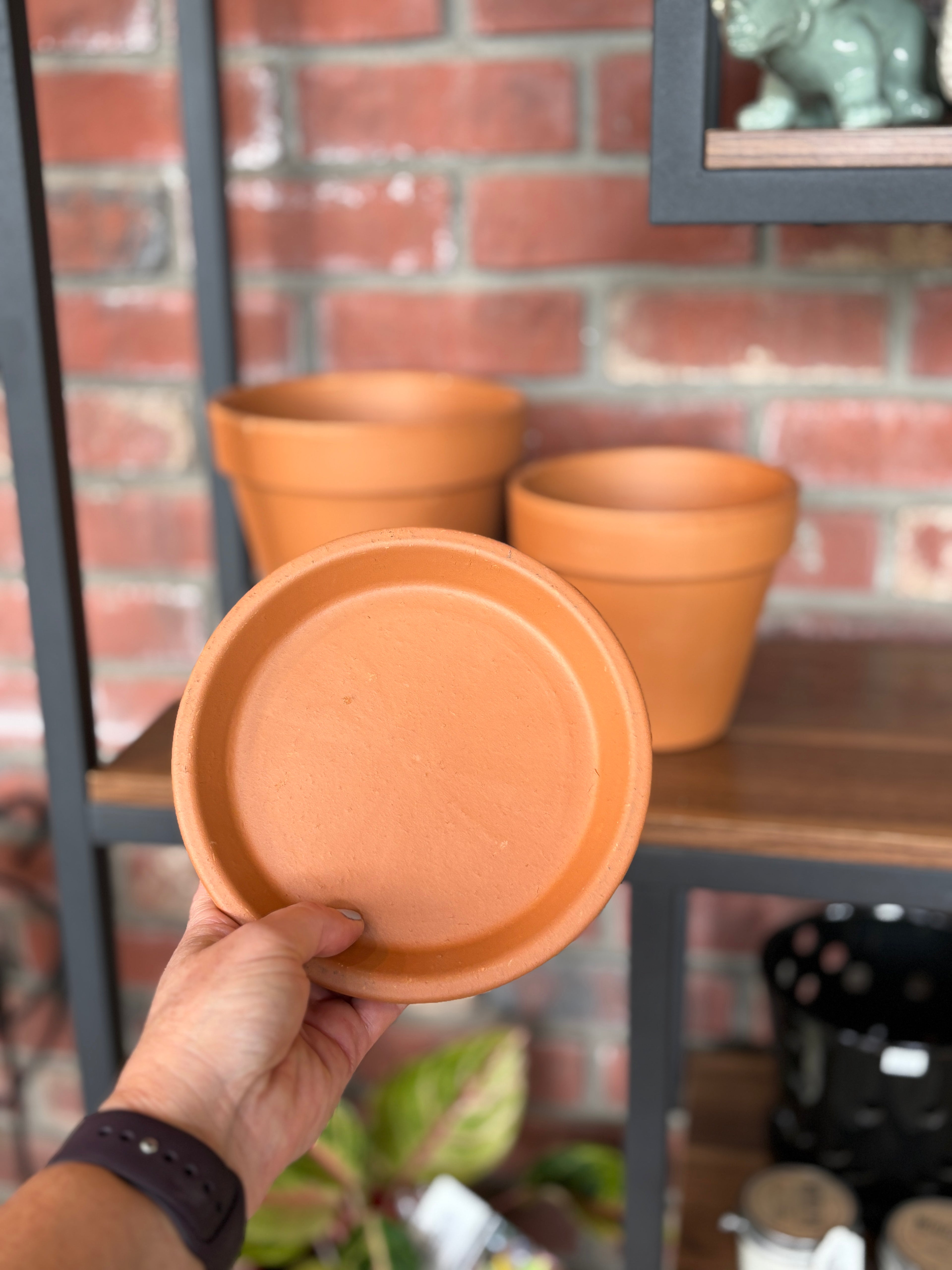 Terracotta Clay Saucer 6.5"D X .9"H 17 Cm
