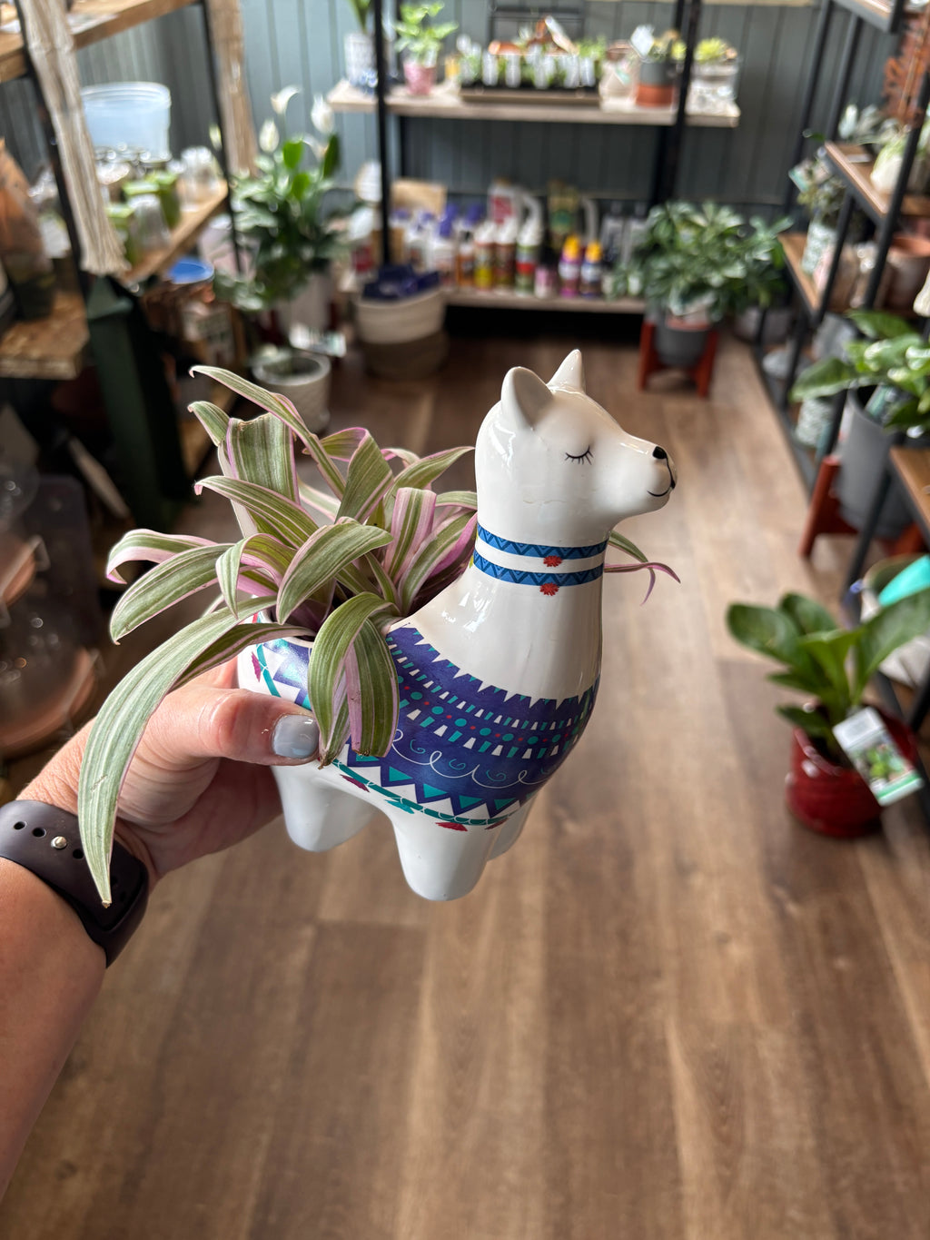 7" Llama Assorted Pottery