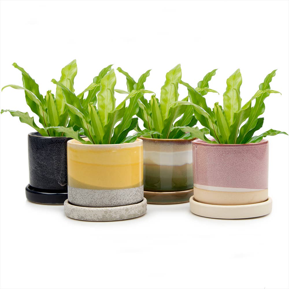 Minute Handmade Ceramic Planter Indoors Pot With Saucer: Bronze White, 5"