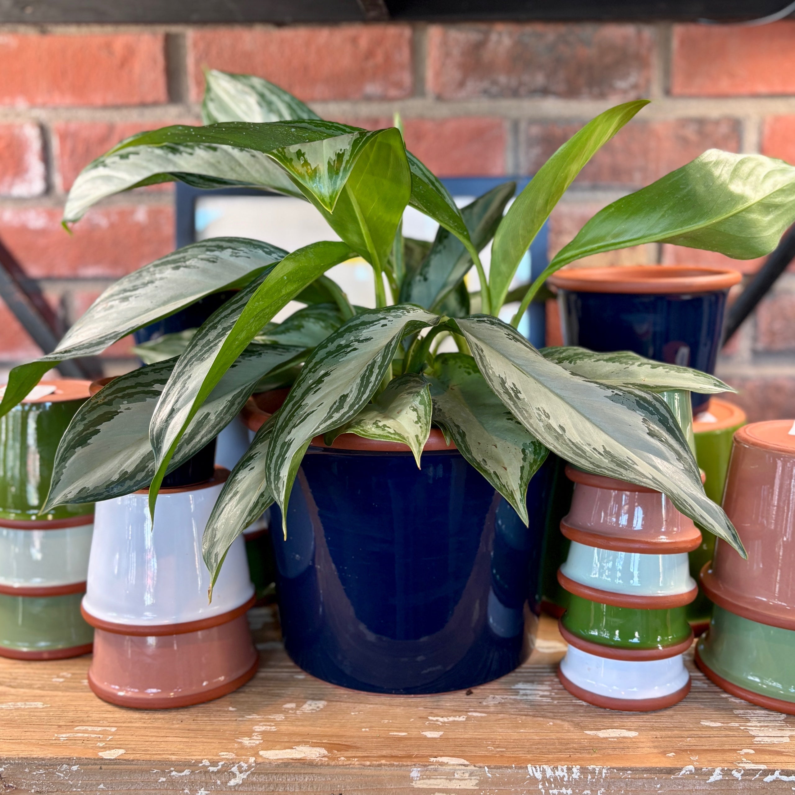 9.3" Navy Cylinder Glazed Terracotta Pot