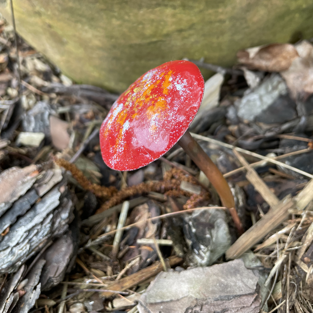 Small Enamel Mushrooms Assortment