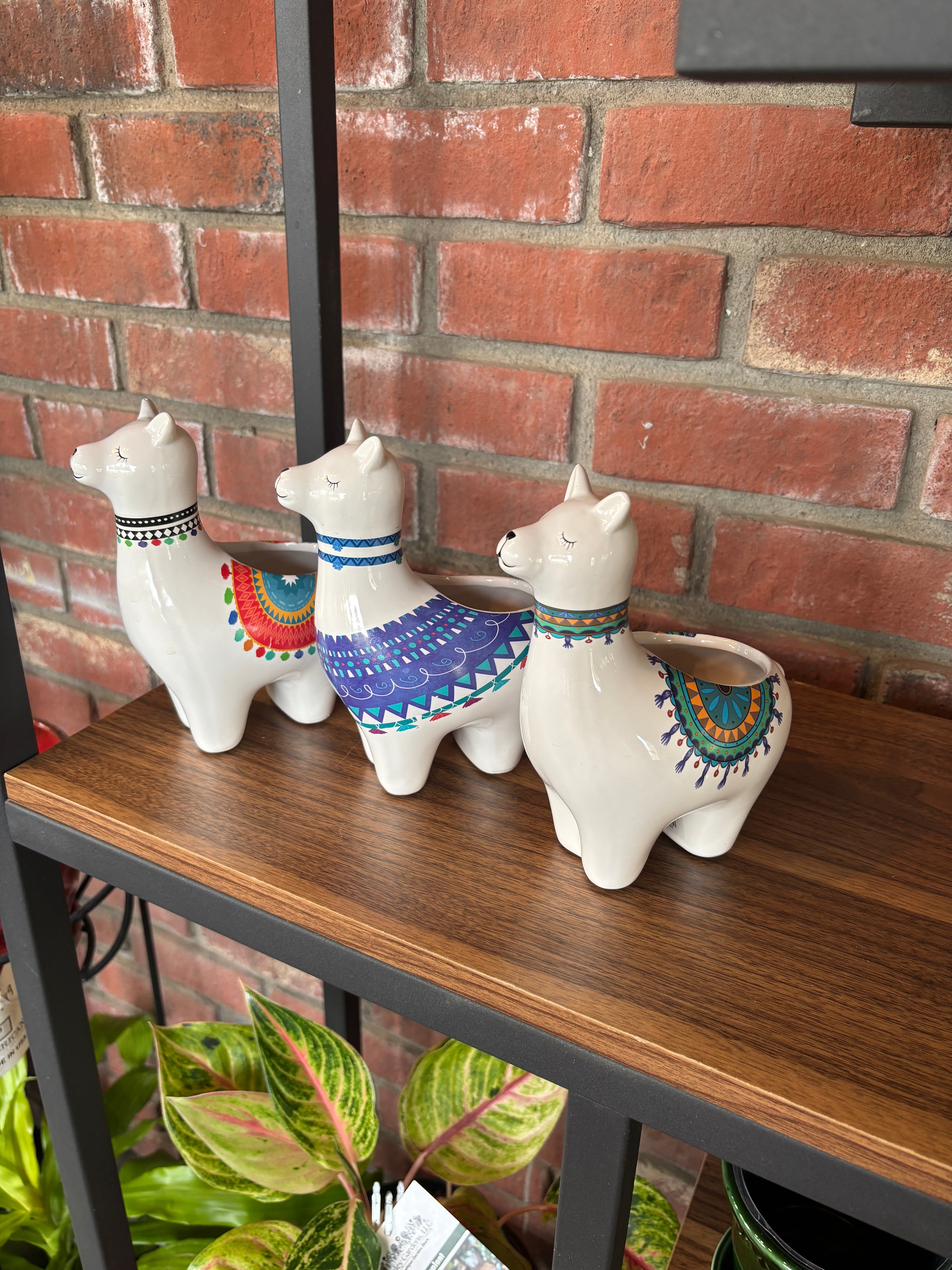 7" Llama Assorted Pottery