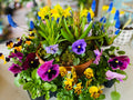 Spring Pots & Petals: Build Your Own Container