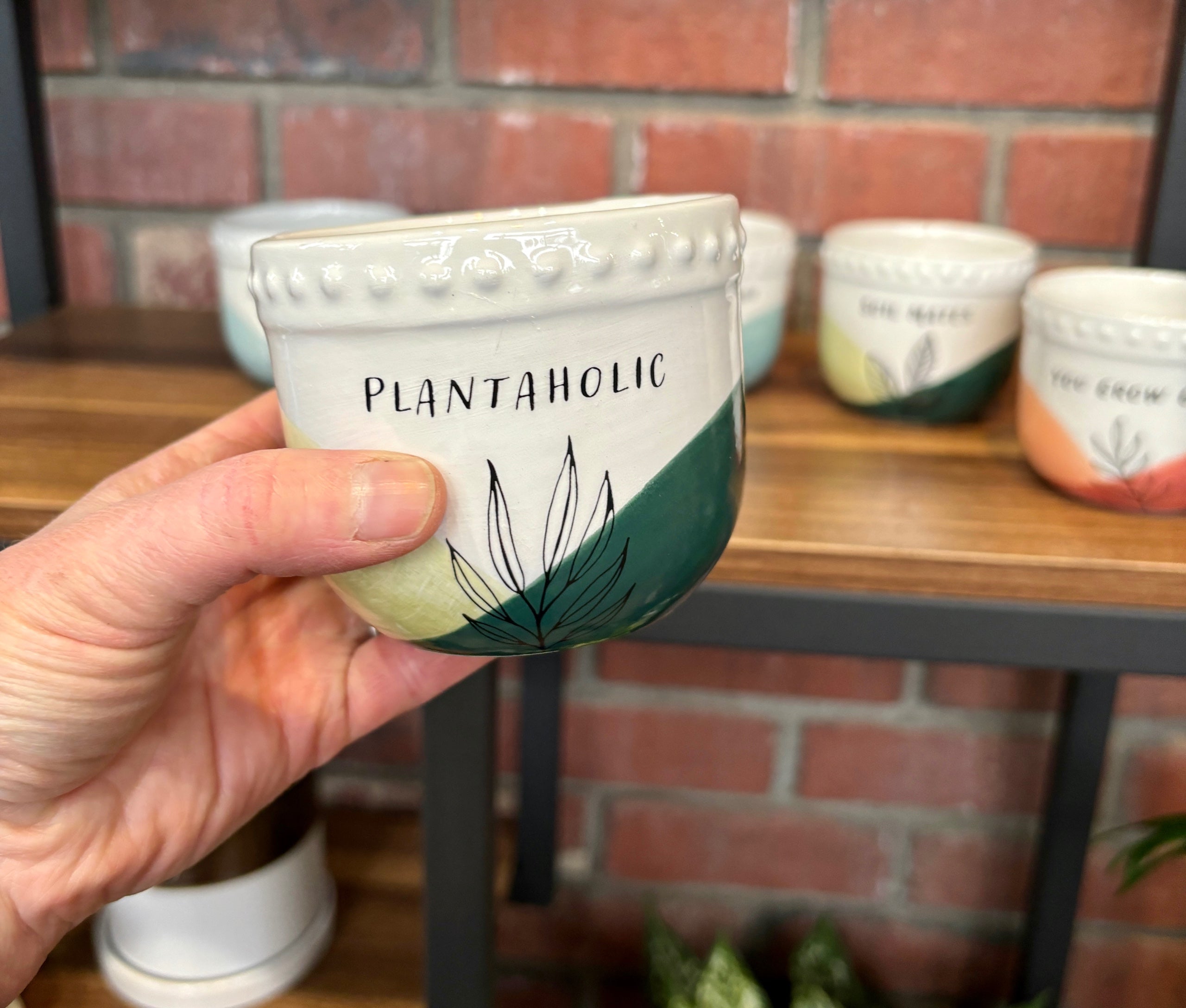 Ceramic Sassy Planters