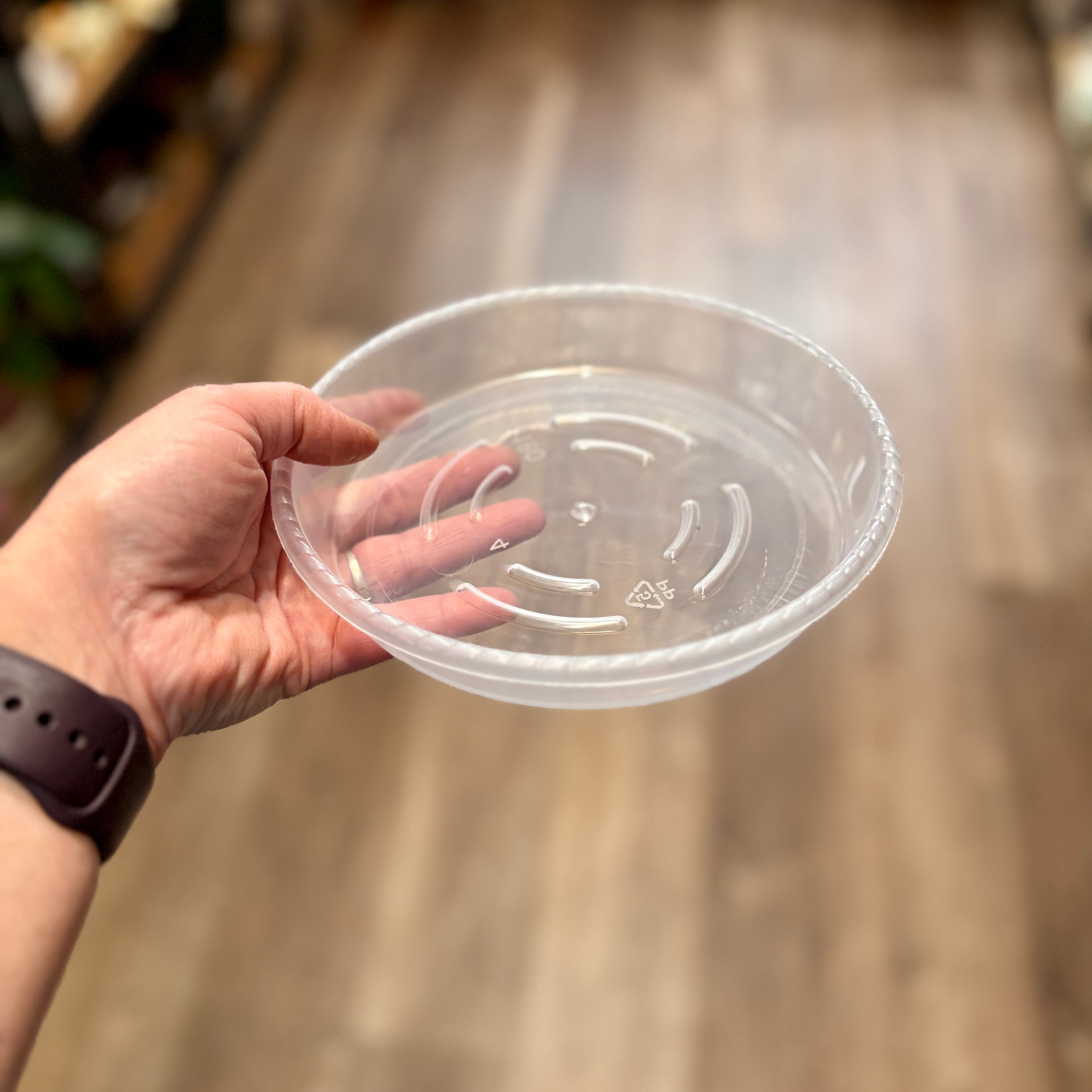 6 Inch Clear Nursery Saucer