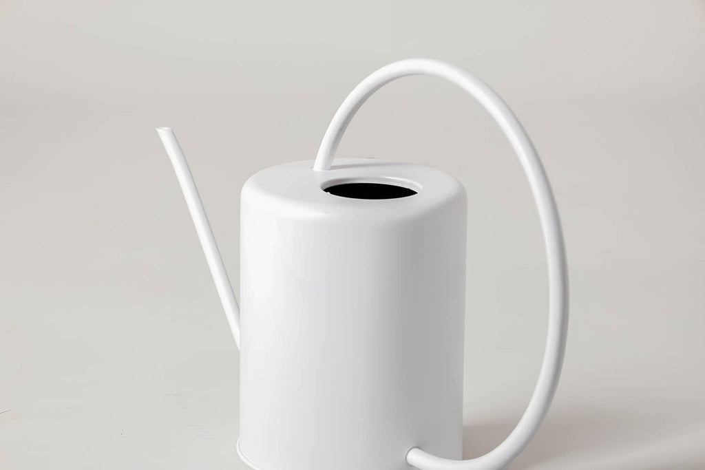 2L Stainless Steel Watering Can: White