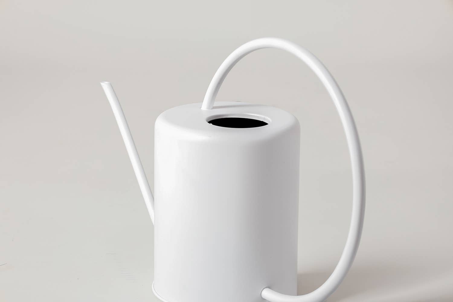 2L Stainless Steel Watering Can: White