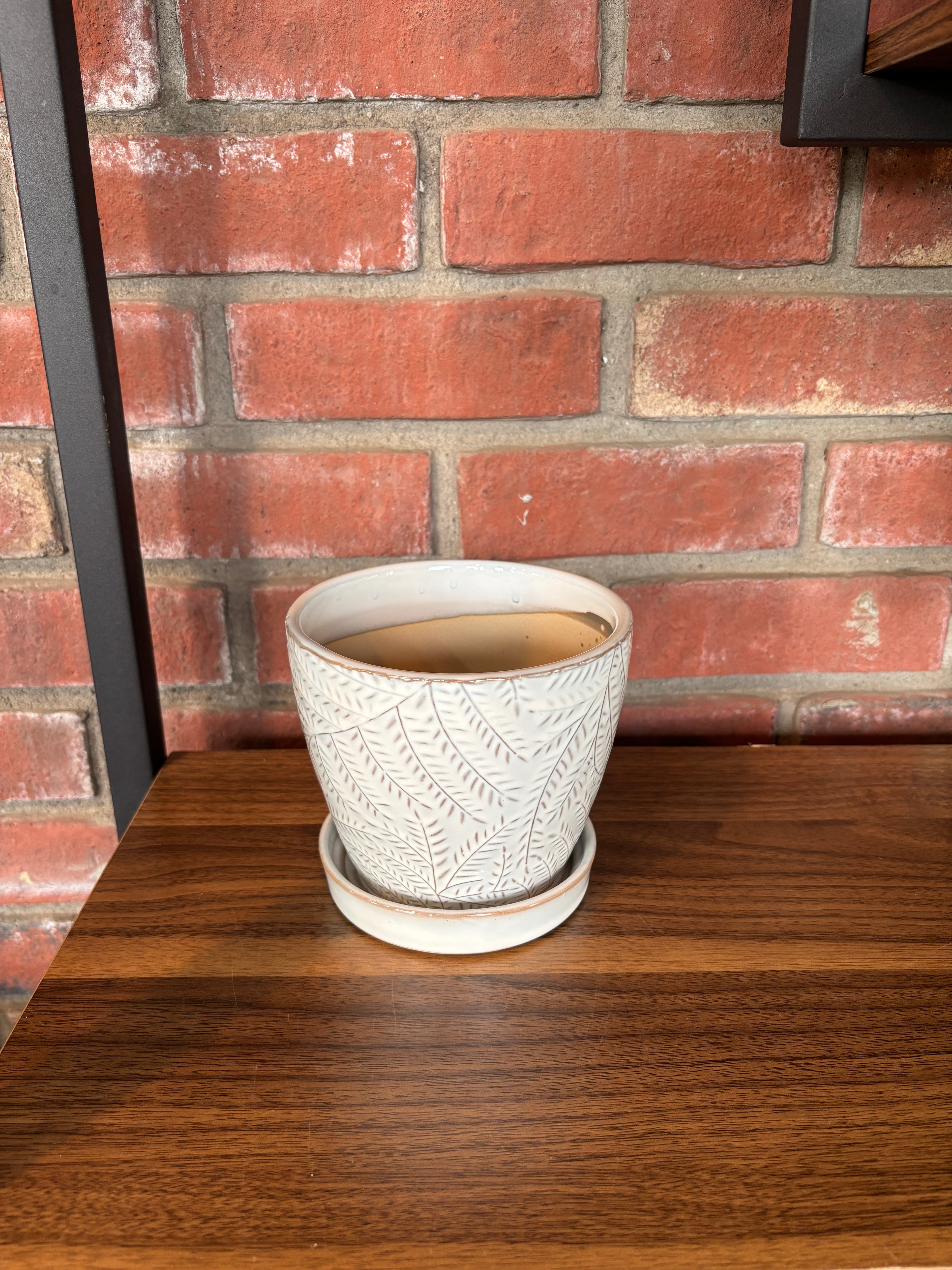 4.5" White Gray Fern Pot W/ Attached Saucer