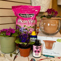 African Violets 101 - March 7Th From 1-3Pm