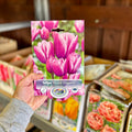 Tulip Bouquet Purple Elegance 5 Bulbs/Package