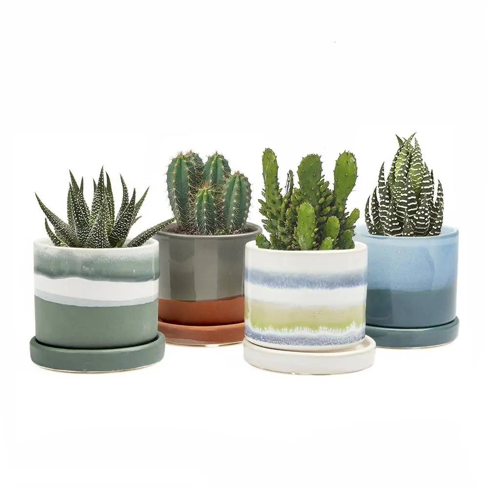 Minute Handmade Ceramic Planter Indoors Pot With Saucer: Bronze White, 3"