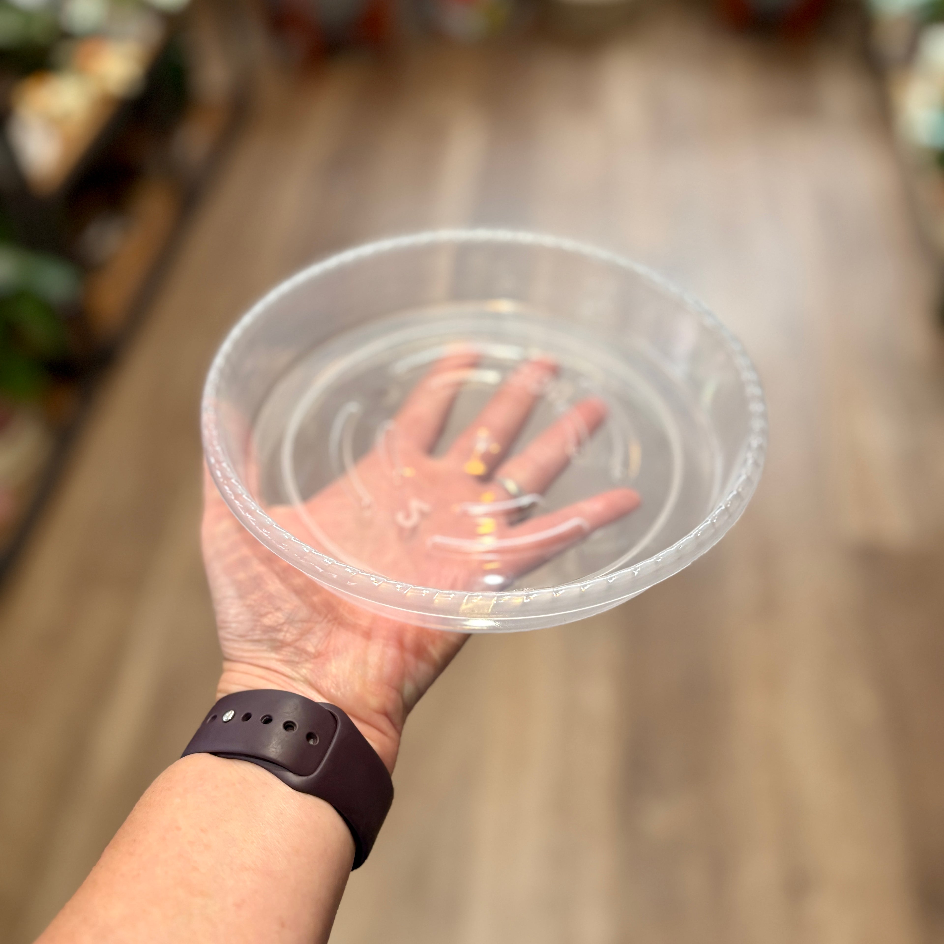 6 Inch Clear Nursery Saucer