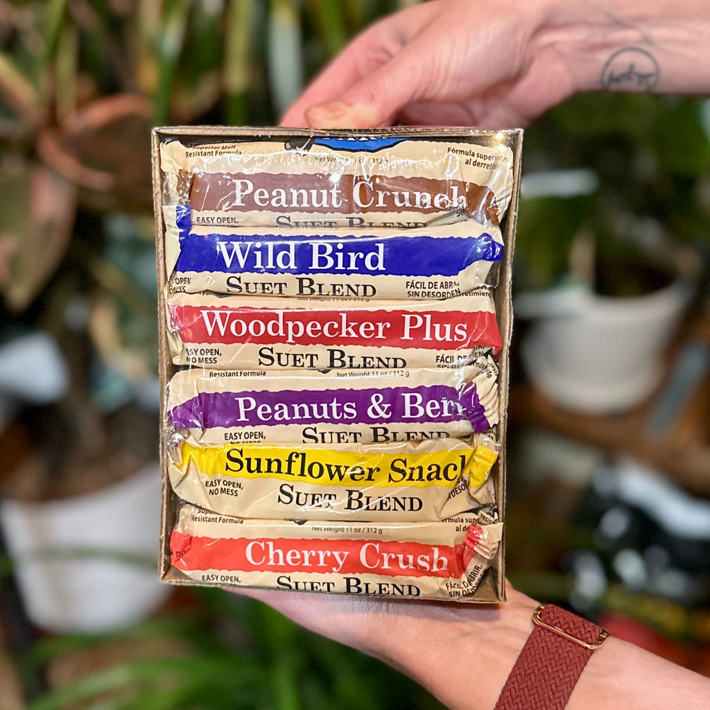 Meadow Ridge Suet Cakes: 6 Pack