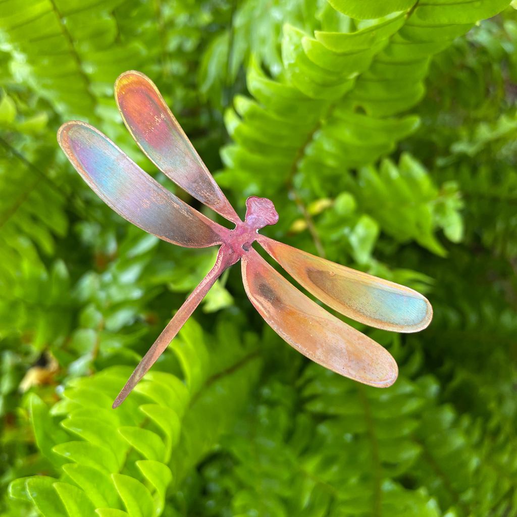 Medium Natural Copper Dragonflies