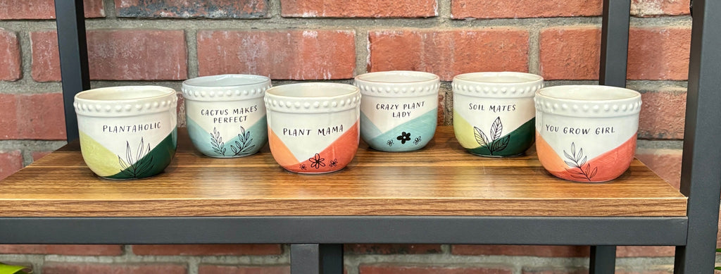 Ceramic Sassy Planters