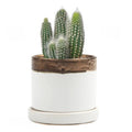 Minute Handmade Ceramic Planter Indoors Pot With Saucer: Bronze White, 3"