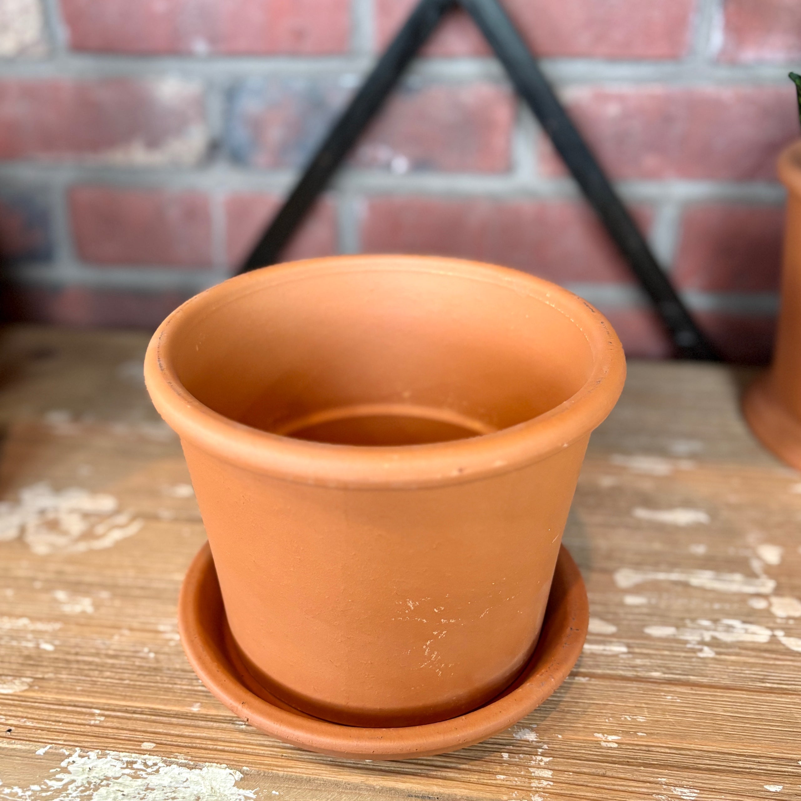 6" Rim Cylinder Terracotta Pot