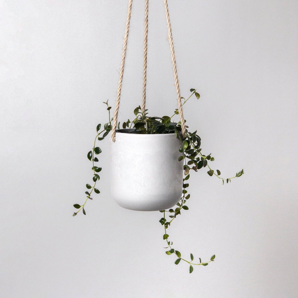 4" Signature Stone Hanging Planter Pot: White Stone