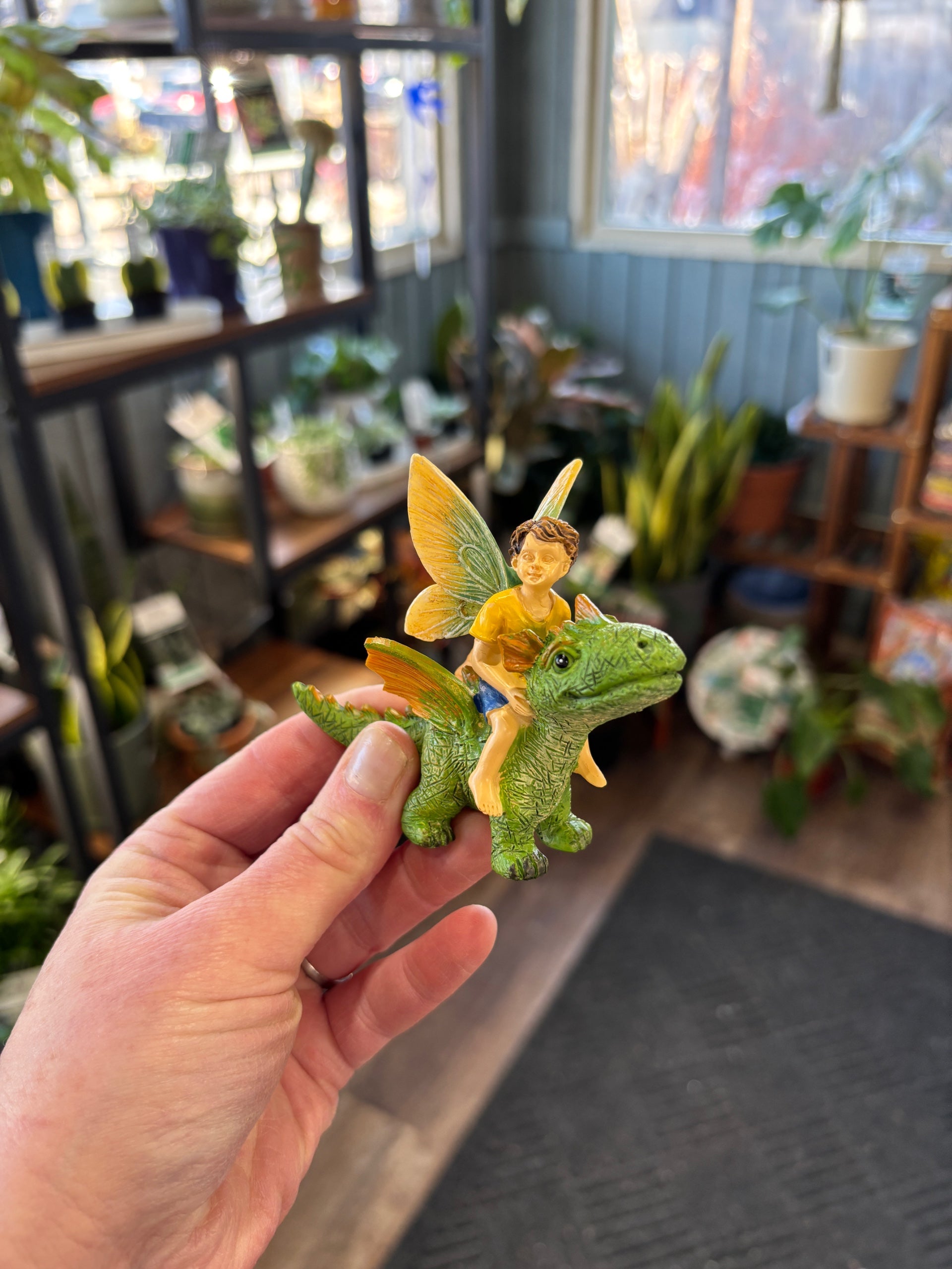 Boy & His Dragon | Fairy Garden