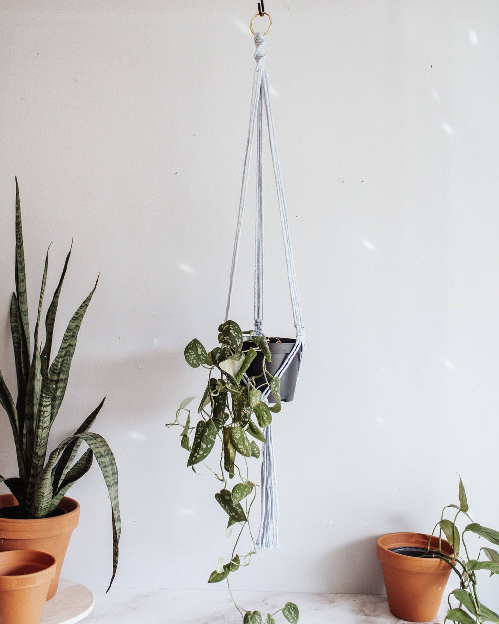 Basic Macrame Plant Hanger: Natural