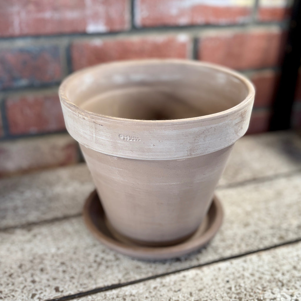 7.5" Chocolate Standard Terracotta Pot