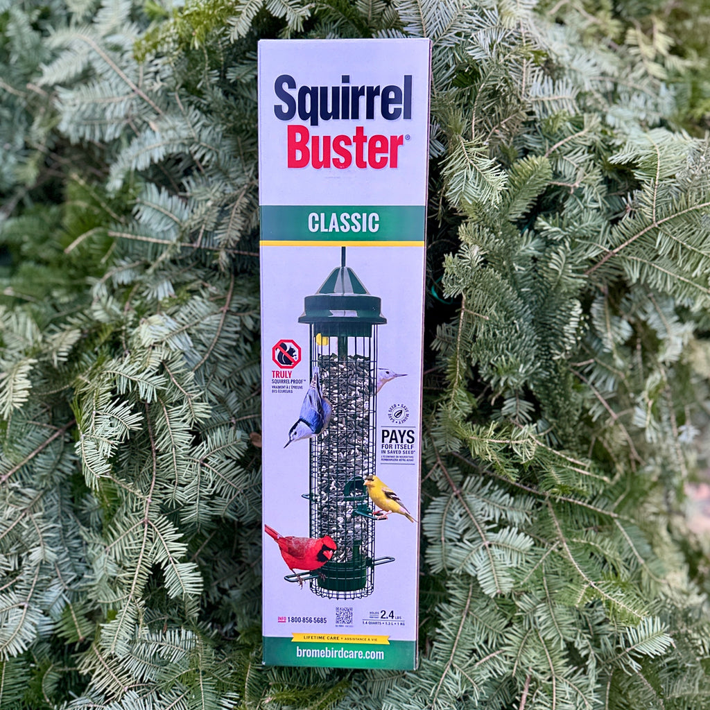 Squirrel Buster Classic Bird Feeder