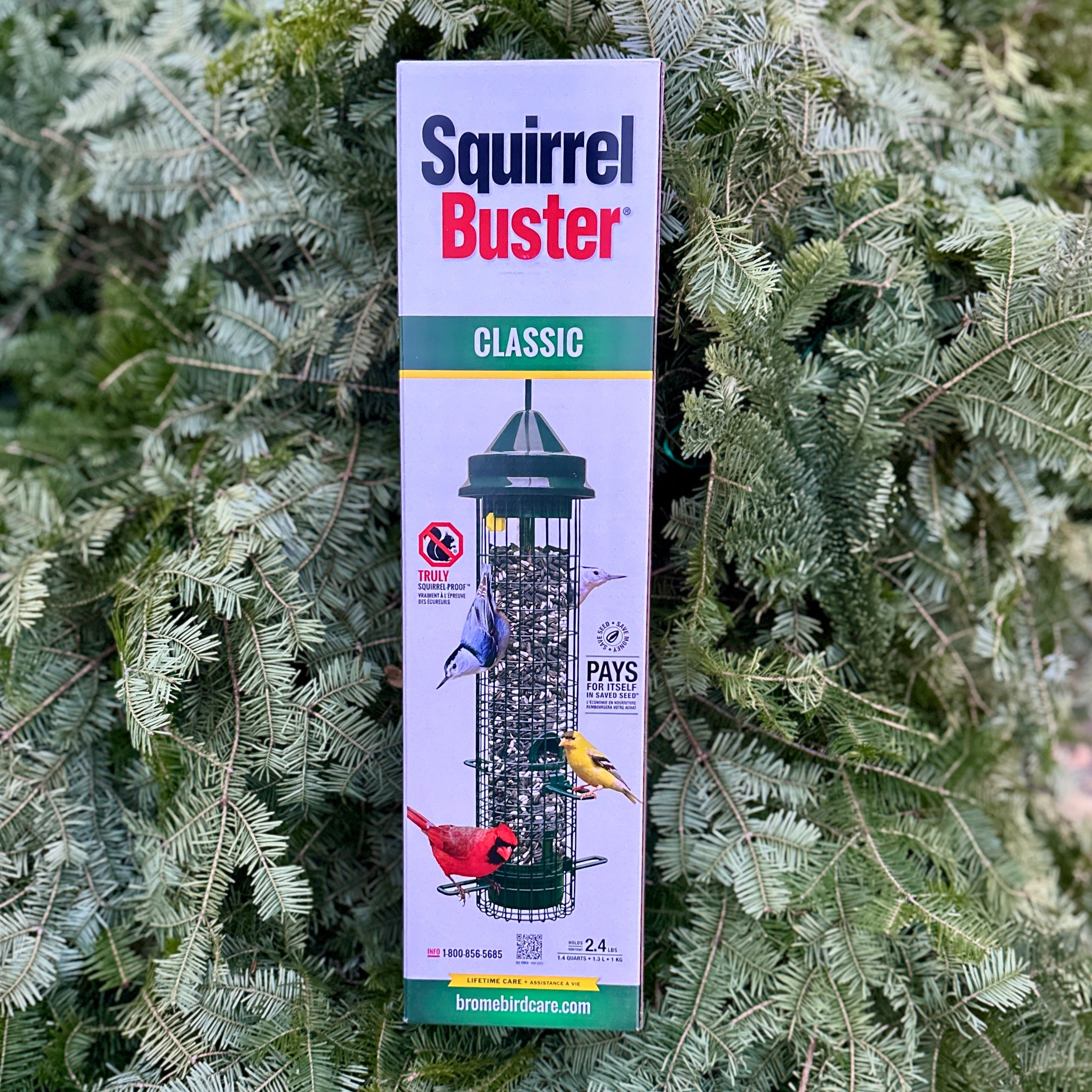 Squirrel Buster Classic Bird Feeder