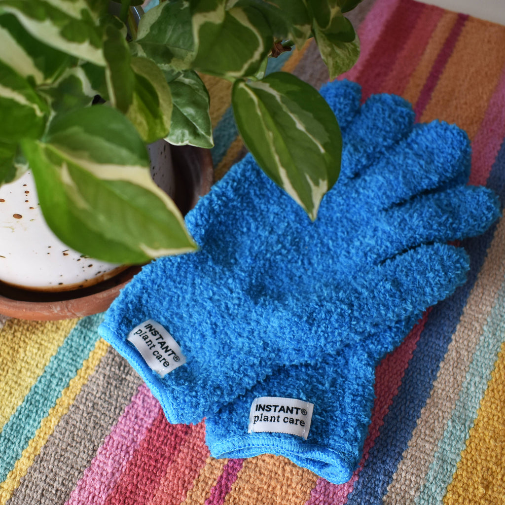 Micro-Fiber Gloves For Cleaning Houseplants + Indoor Gardens