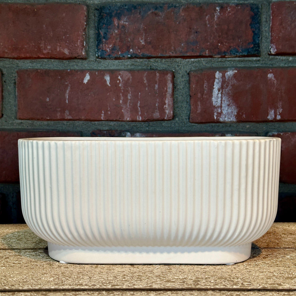 Matte White Oval Ceramic Planter 8"