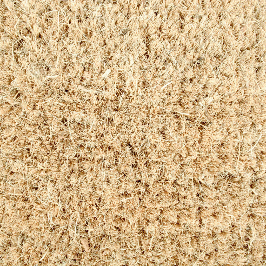Merry Christmas Trees Doormat