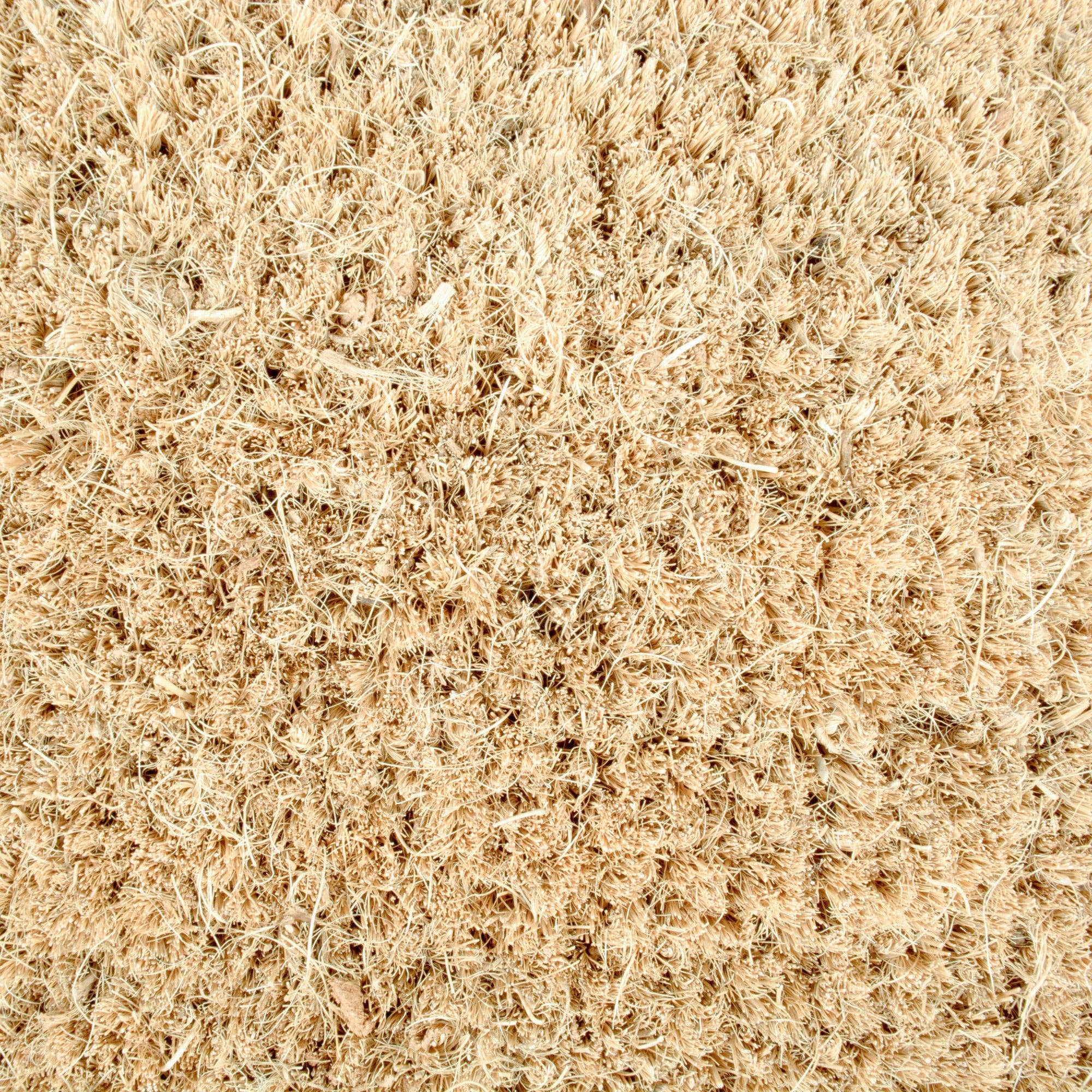 Merry Christmas Trees Doormat