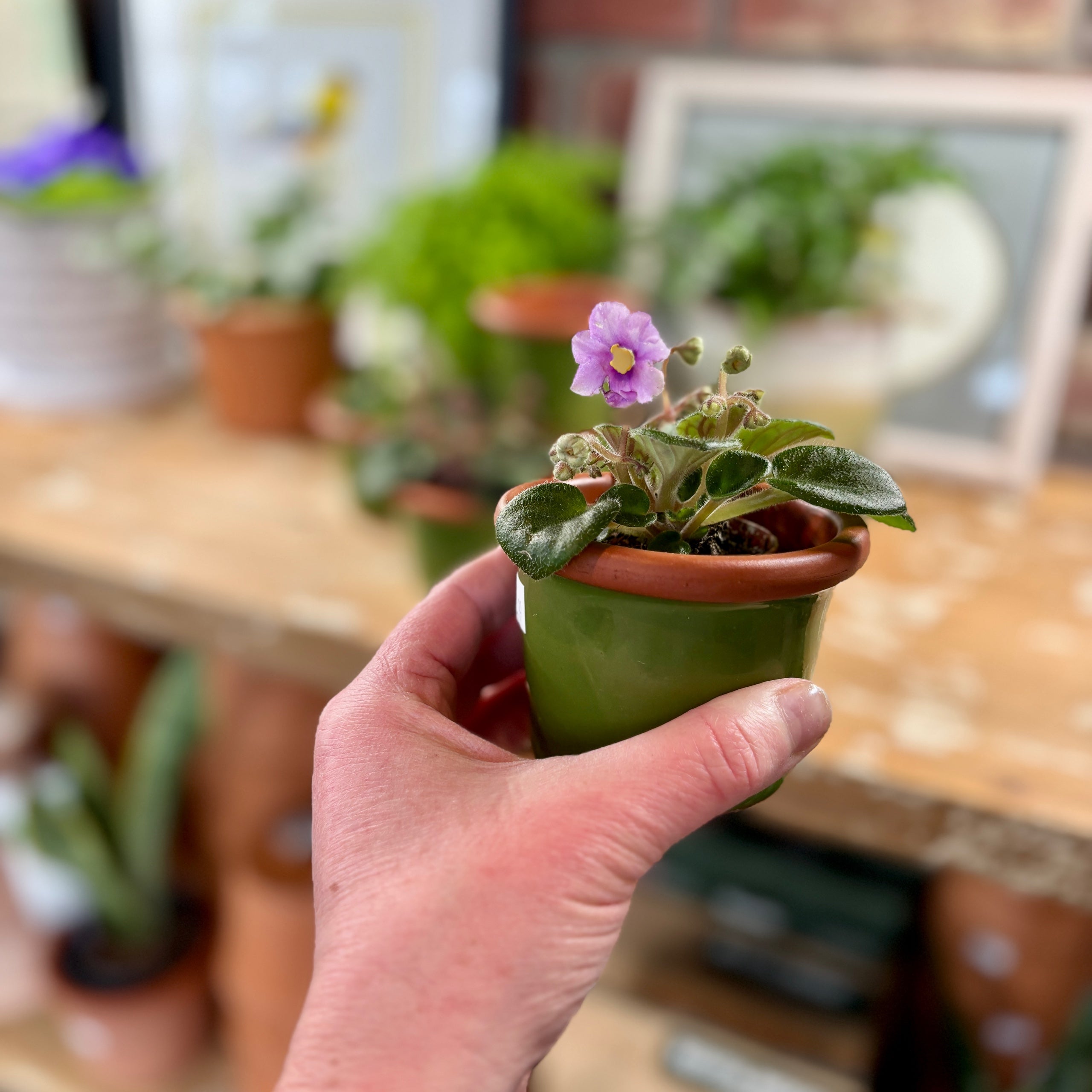 3.4" Apple Green Cylinder Terracotta Glazed Pot