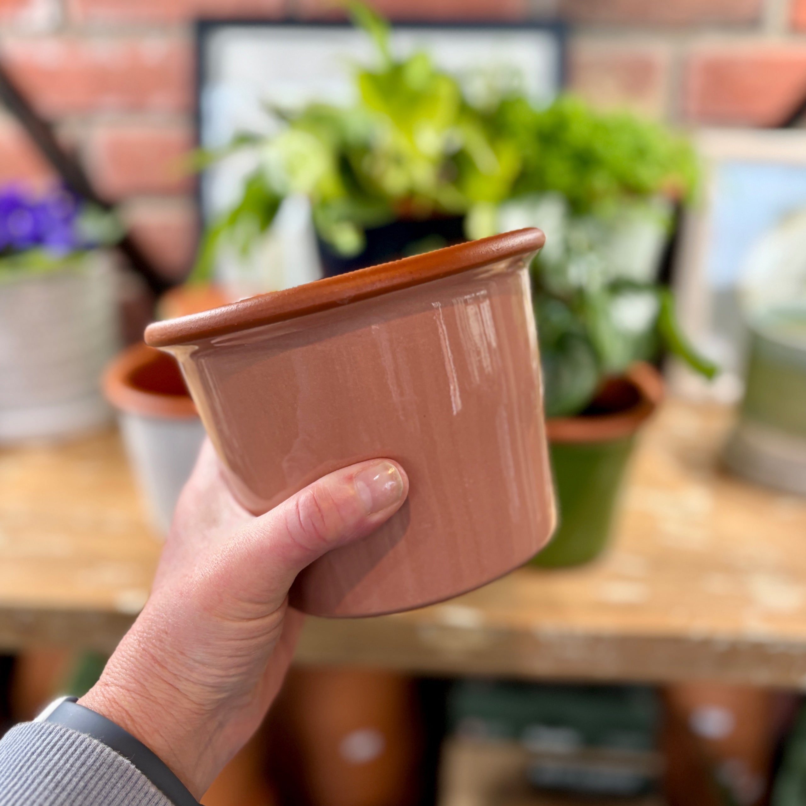 5.5" Rose Cylinder Glazed Terracotta Pot