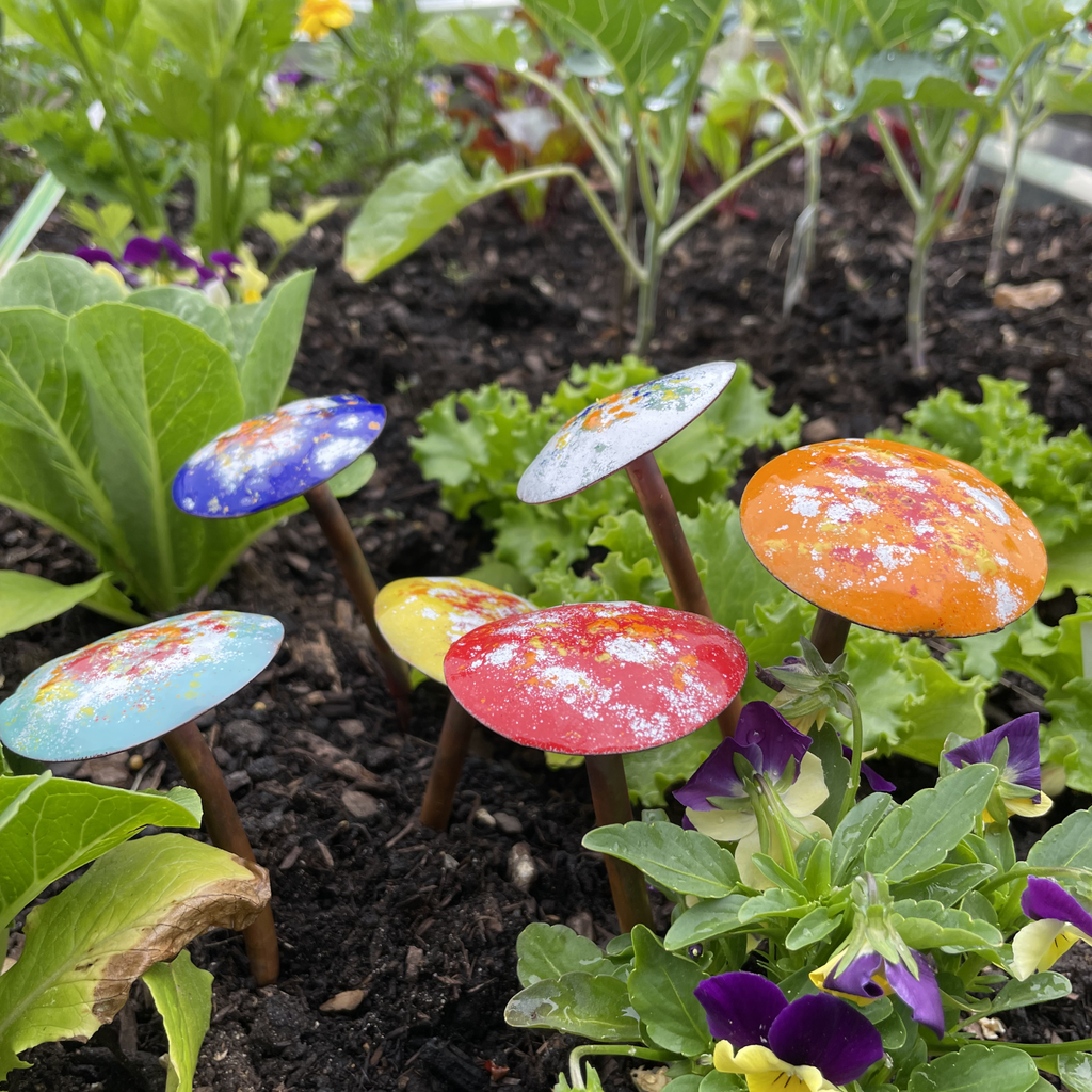 Small Enamel Mushrooms Assortment