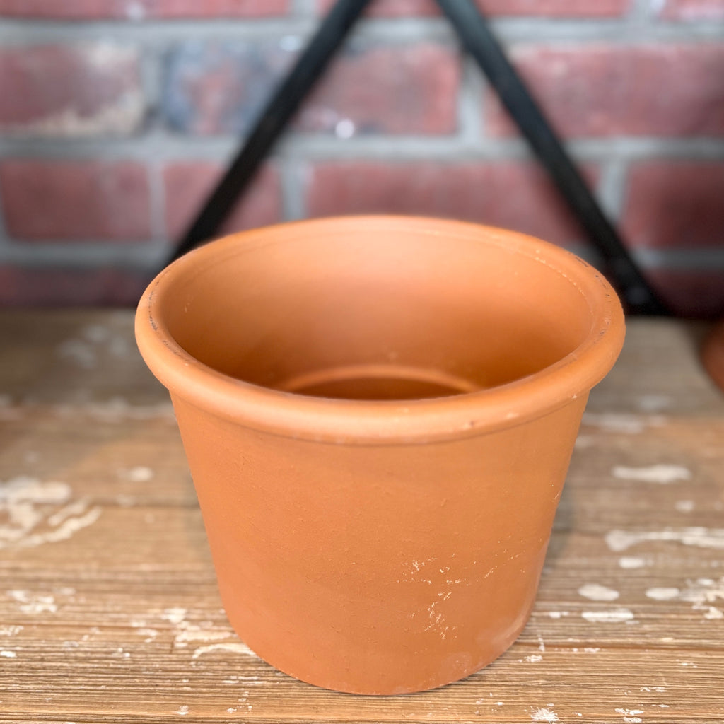 6" Rim Cylinder Terracotta Pot