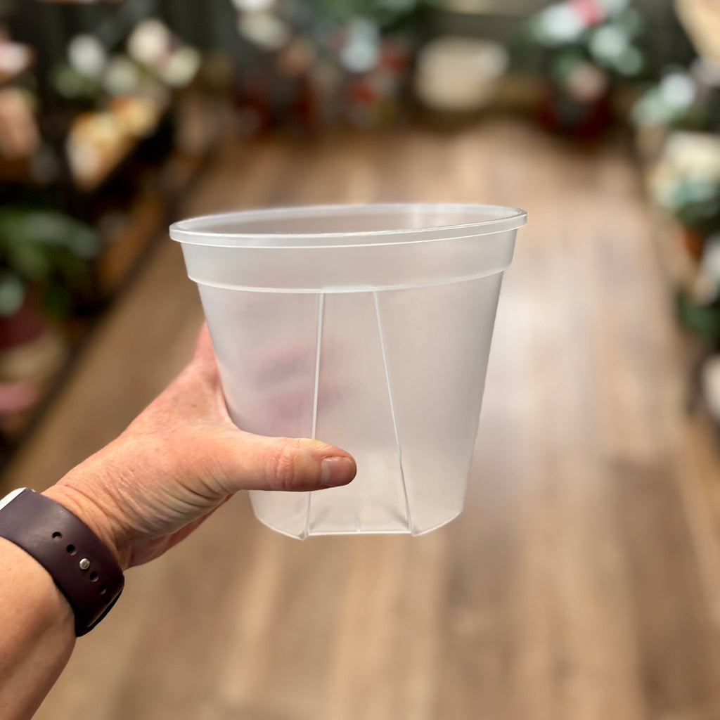 6 Inch Clear Nursery Grower's Pot