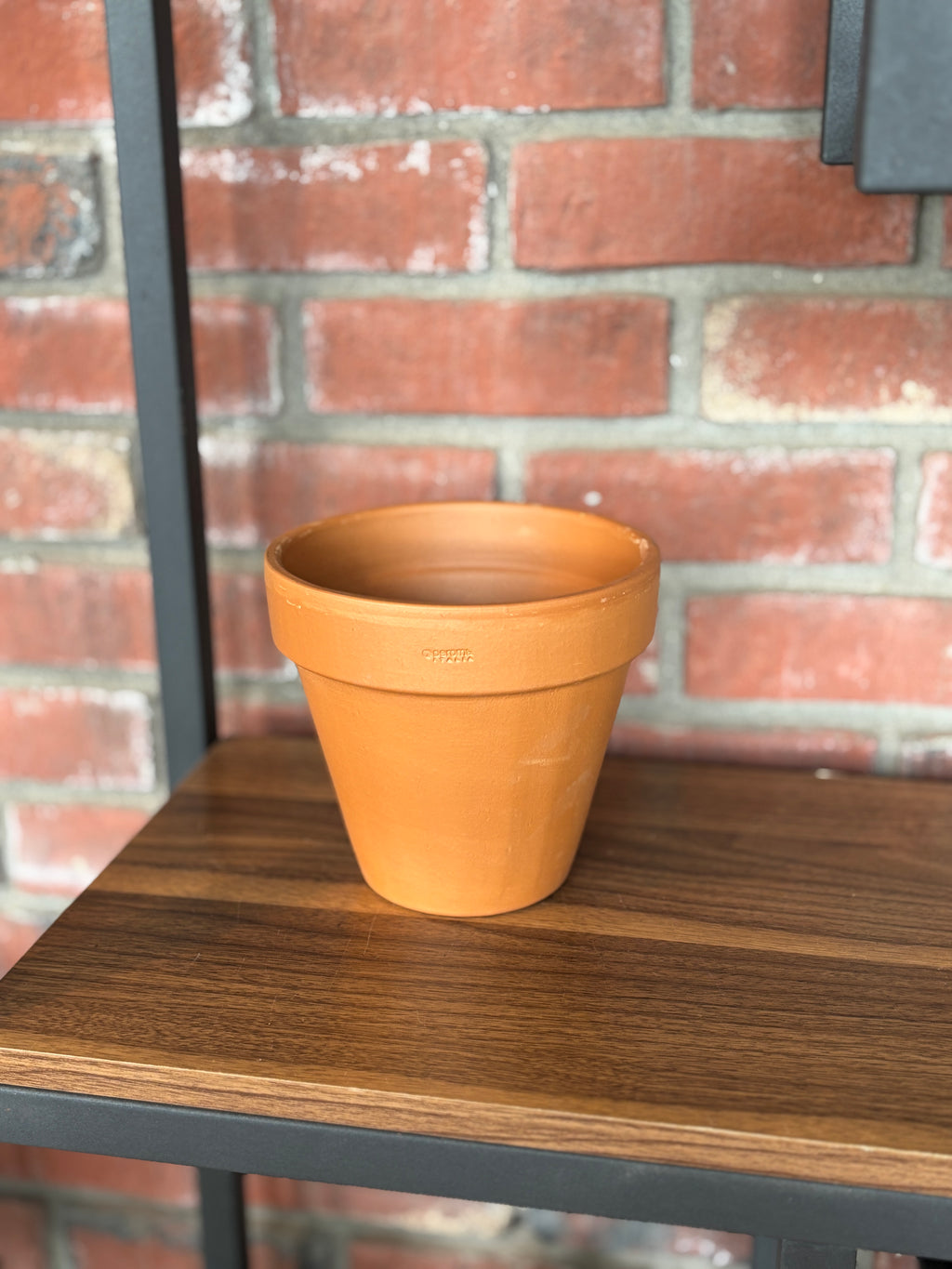 Standard 6.7" Terracotta Pot