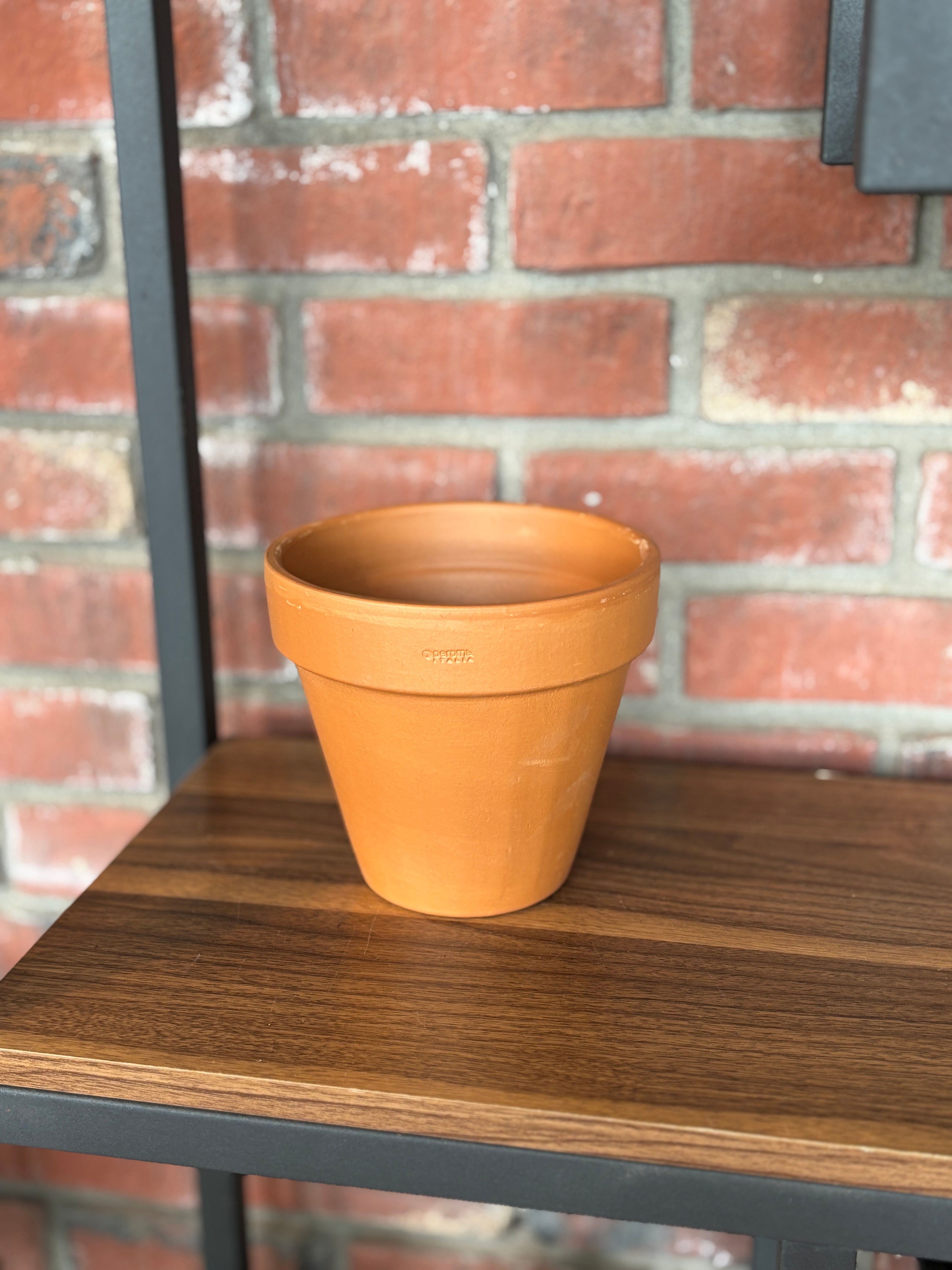 Standard 6.7" Terracotta Pot