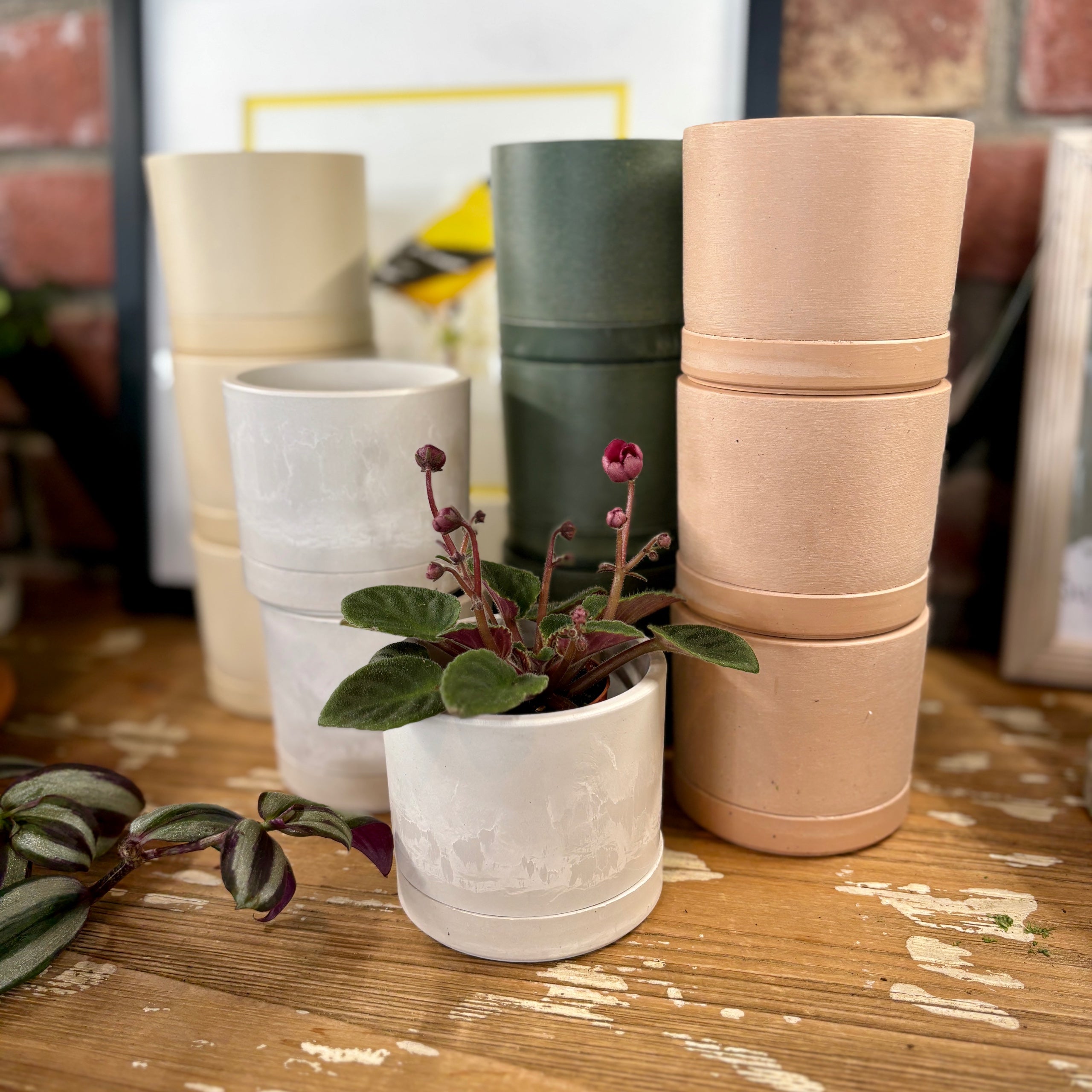 3.5" Earth Tone Mini Planters | White Stone