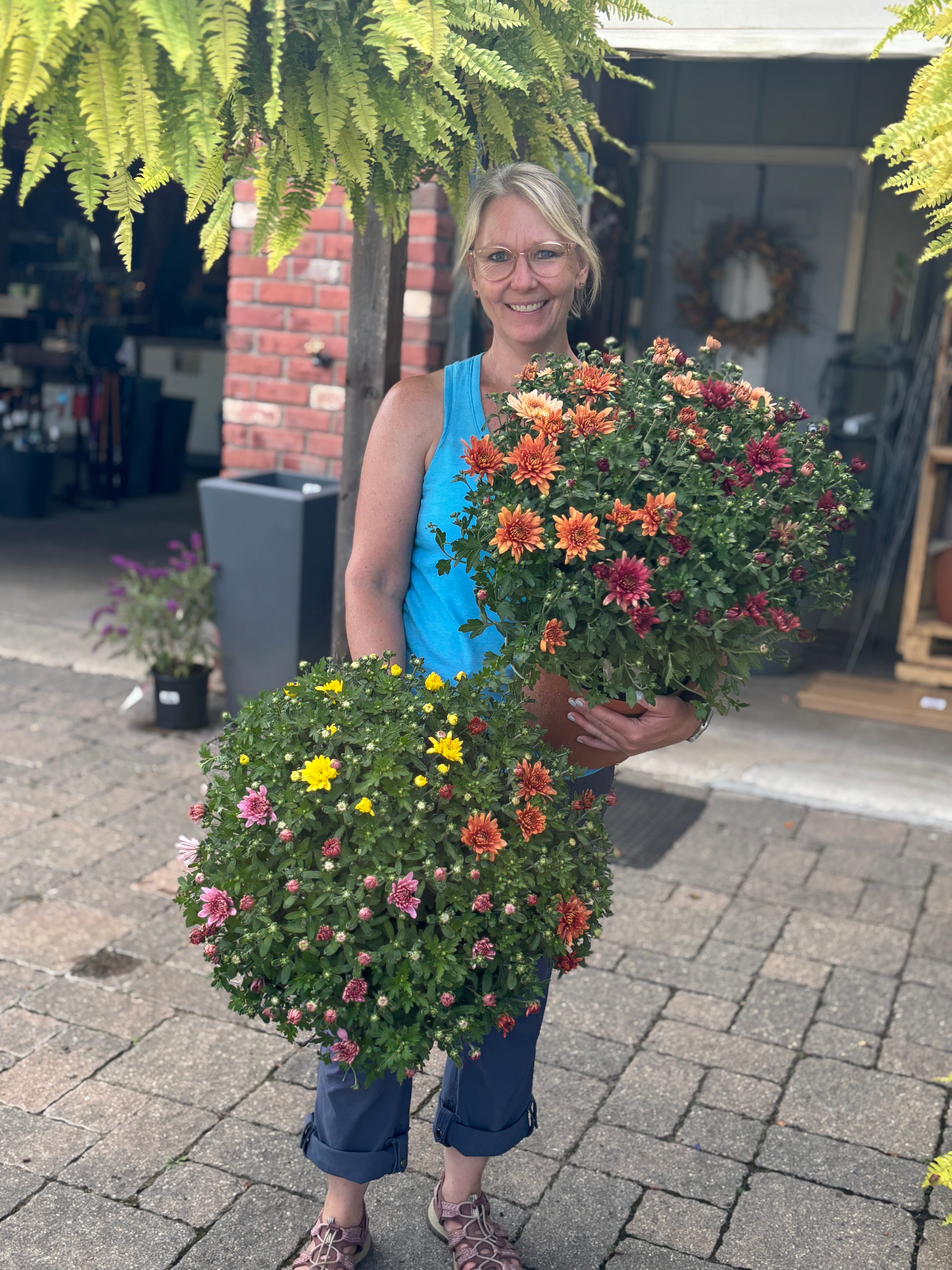 9.5" Belgian Mum Mix