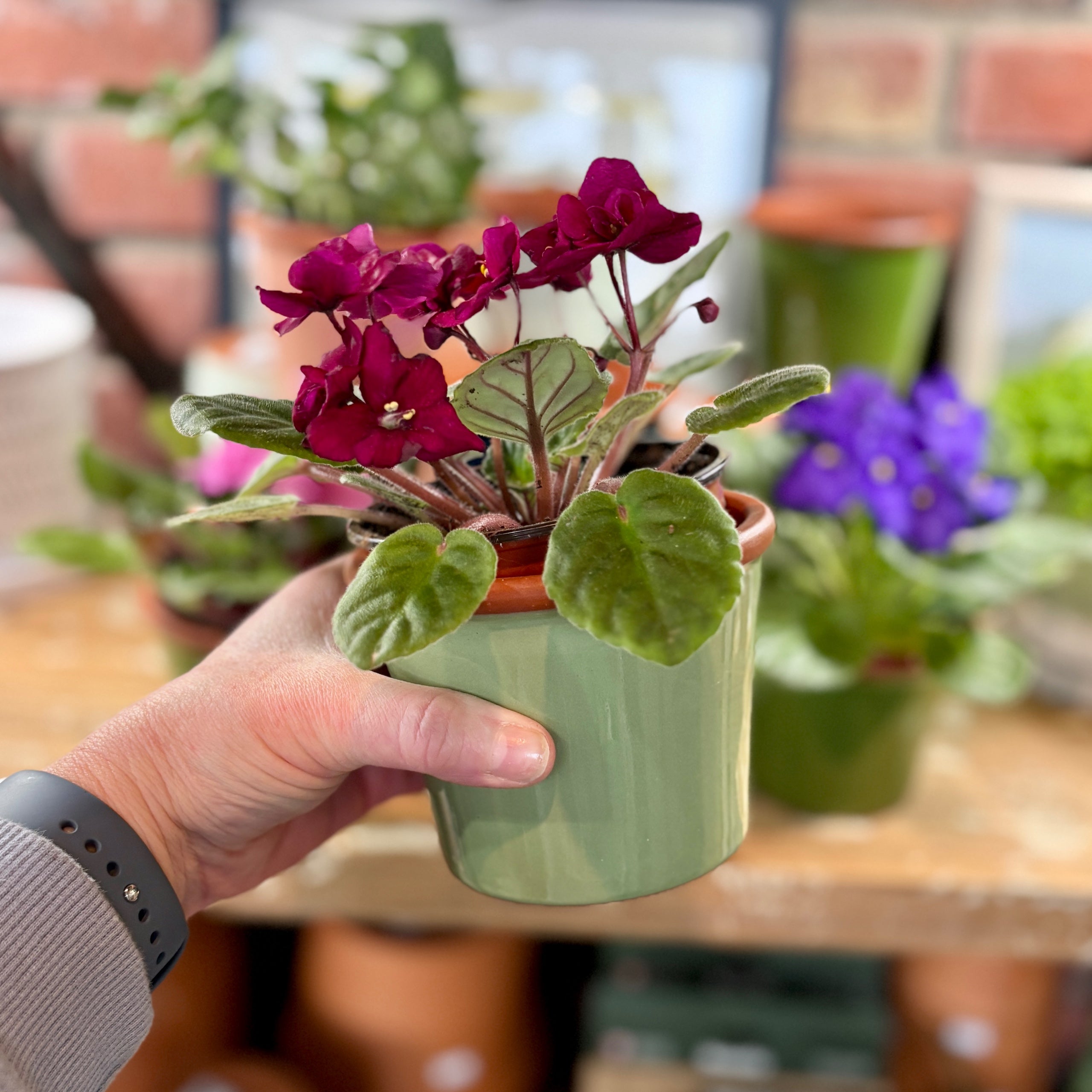 4.3" Sage Cylinder Glazed Terracotta Pot