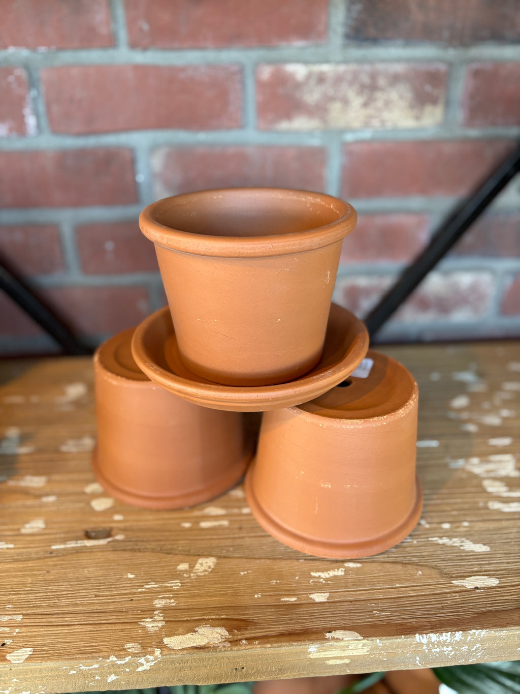 4" Rim Cylinder Terracotta Pot
