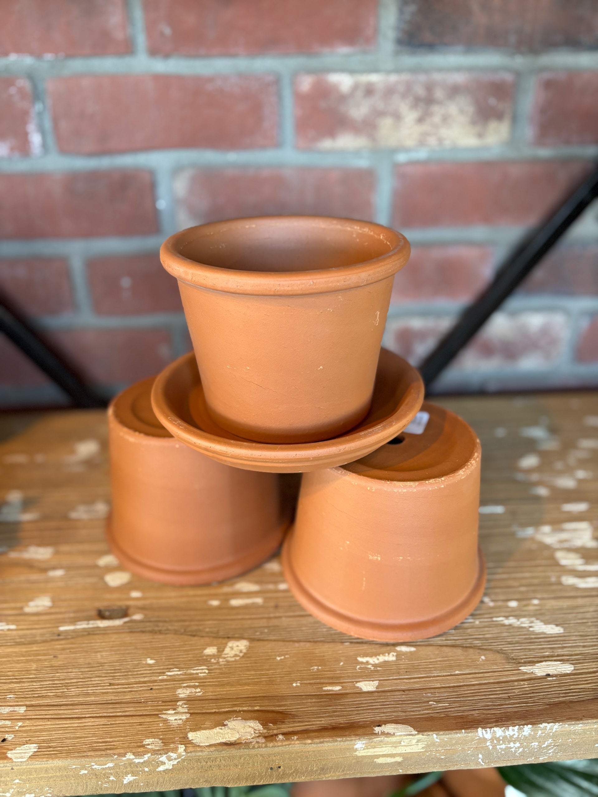 4" Rim Cylinder Terracotta Pot