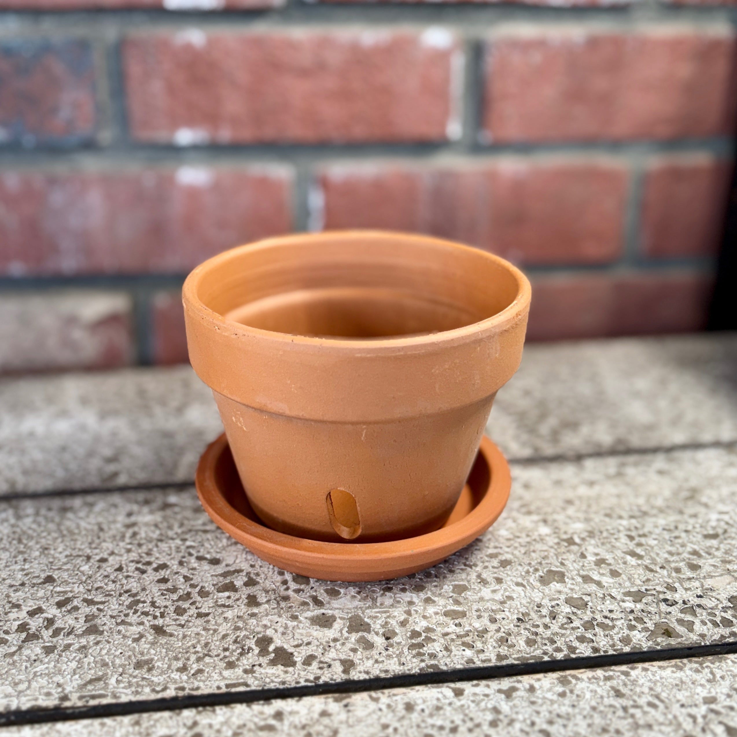 5" Terracotta Orchid Pot