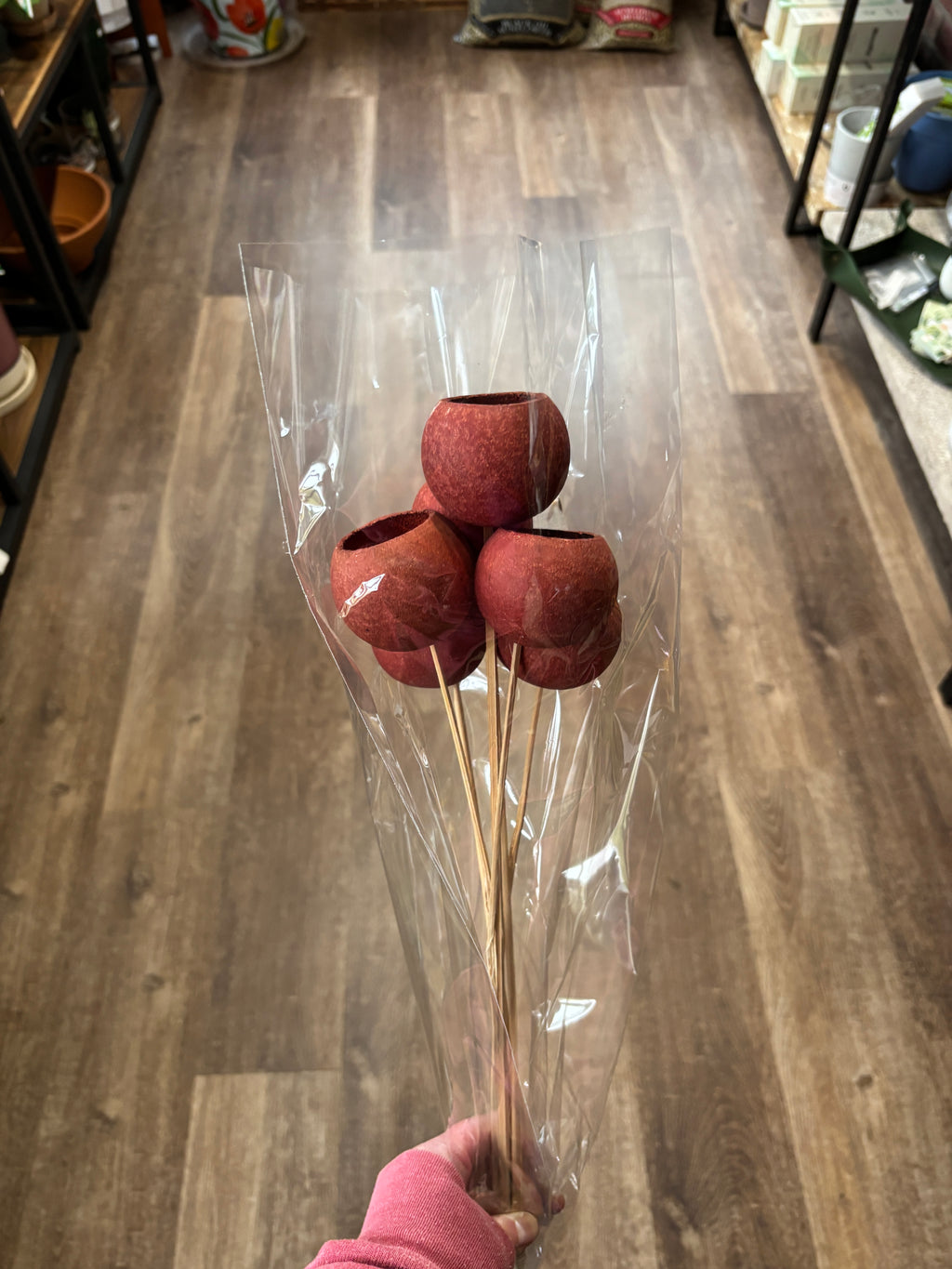 Bell Cup Mahogany 5-7/Pack