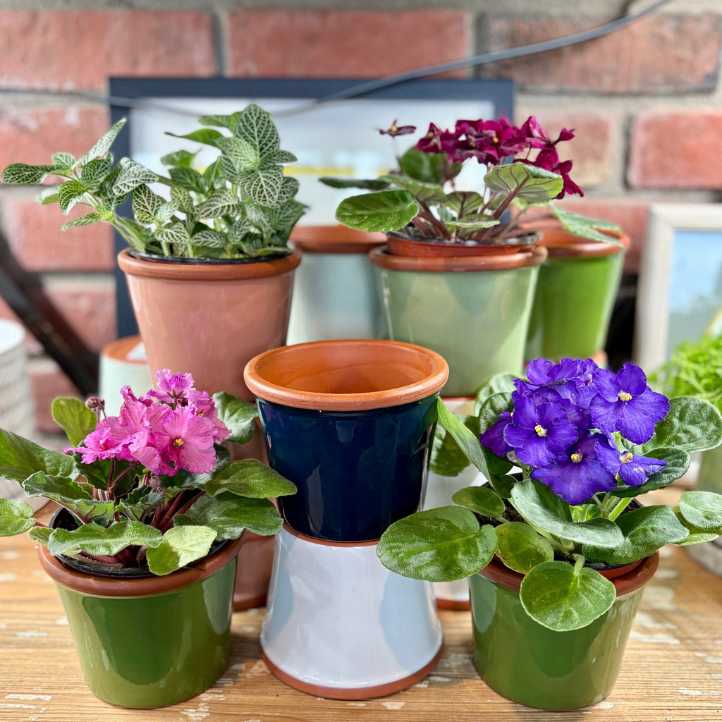 4.3" White Cylinder Glazed Terracotta Pot