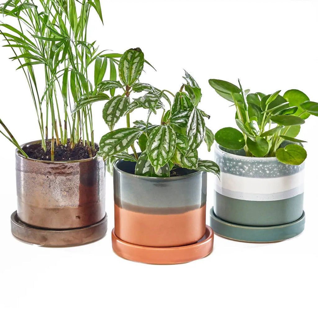 Minute Handmade Ceramic Planter Indoors Pot With Saucer: Bronze White, 3"