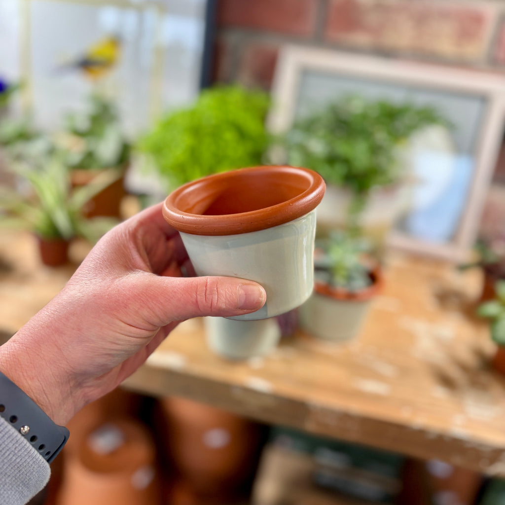 3.4" Zephyr Cylinder Glazed Terracotta Pot