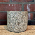 Millie Ceramic Pot 4.5"