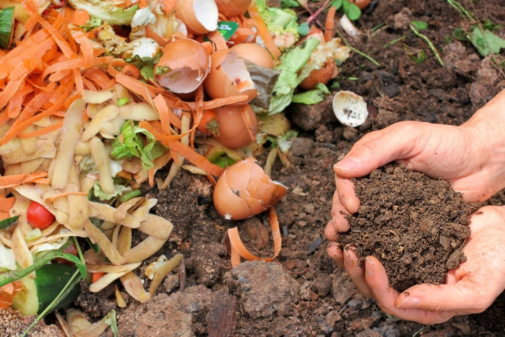Composting 101: From Scraps To Soil